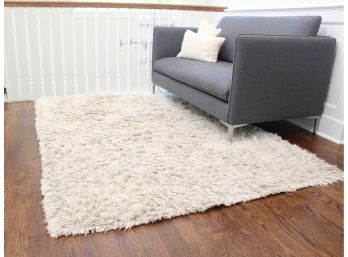 Restoration Hardware Shag Rug By Ben Soleimani