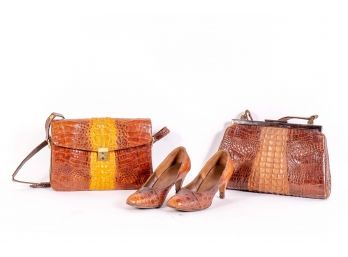 Alligator Leather Collection