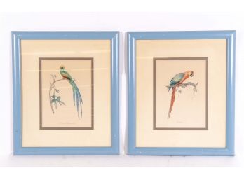 Pair Of Naturalist Tropical Bird Prints