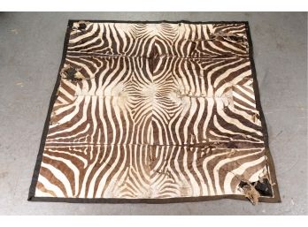 Zebra Hide Rug