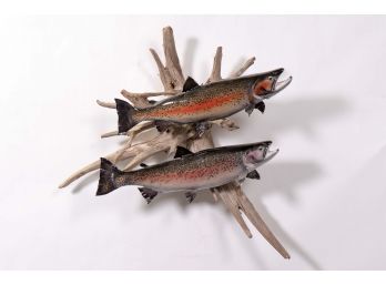 Huge Rainbow Trout Mounted Taxidermy