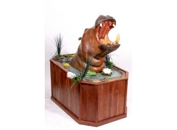 Mounted Hippopotamus Head Taxidermy