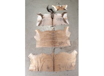 Collection Of African Game Animal Hides