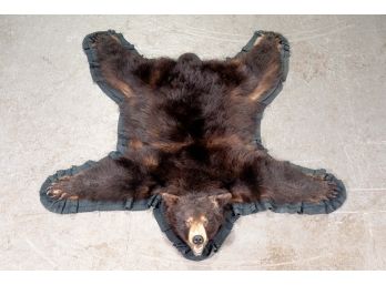 Bear Skin Taxidermy