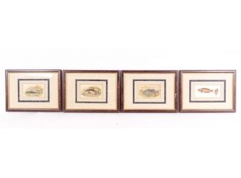 Set Of Four Framed Naturalist Illustration Of Fish, Plates From Book