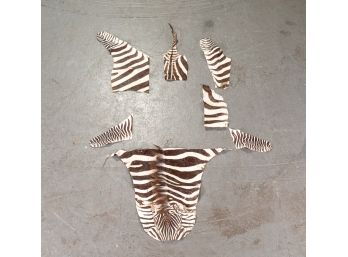 Collection Of Zebra Skin Pieces