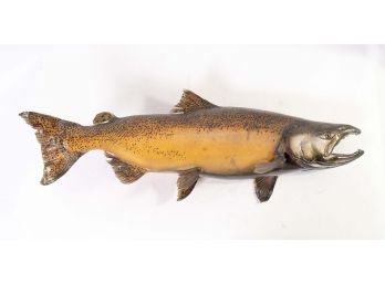 Unmounted Salmon Taxidermy