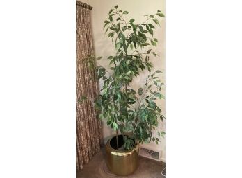 Artificial Silk Ficus Tree Set  Concrete With Heavy Solid Brass Planter 1 Of 2