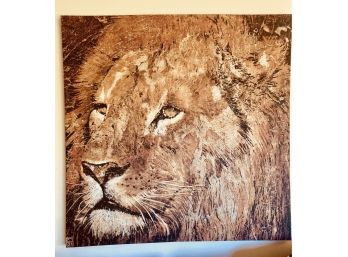 Large Lion On Canvas Print