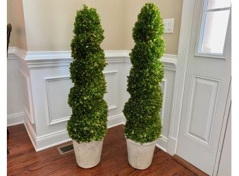 Pair Frontgate Preserved Boxwood Topiaries