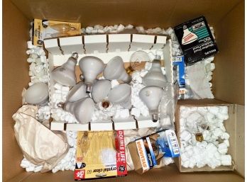 Bot Lot Of Lightbulbs