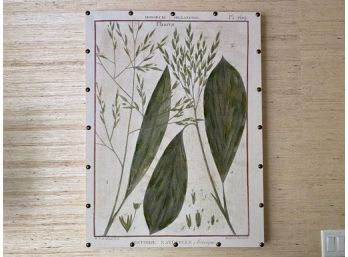 French Botanical Art On Canvas With Brass Tacks