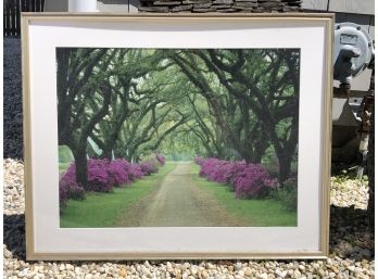 Framed Landscape Photography