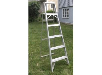 6 Ft Aluminum Ladder