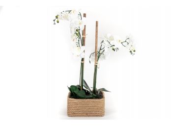 Decorative Rope Pot Composite Faux Orchid Planter