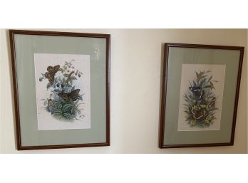 Two Framed Butterfly Prints