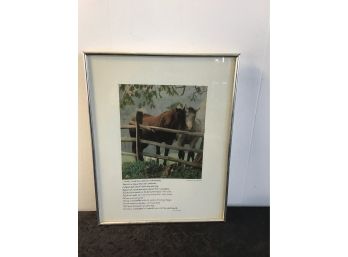 Walt Whitman Horse Animal Poem William Rain Photo