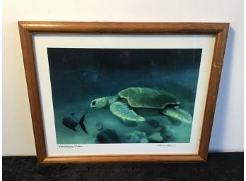 Signed Sea Turtle Photograph