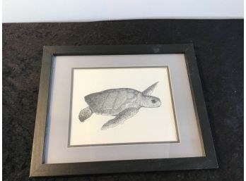 Turtle Sketch