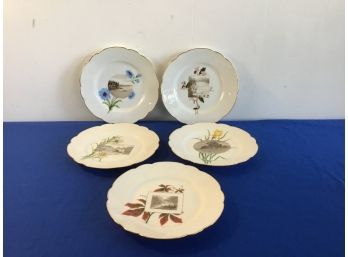 H & C Floral Plates