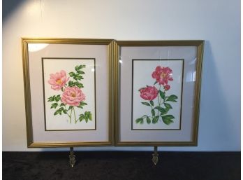 Rose Prints