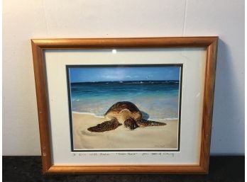 Green Peace Signed Turtle Art