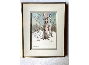 Birch Watercolor Painting By Rose Marie Doherty