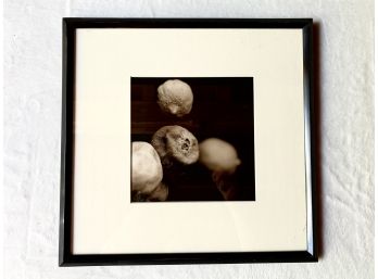 Vintage Black And White Photo Of Lemons