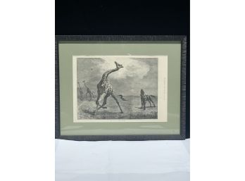 'The Fall Of The Giraffe' Framed Newspaper Print 1884