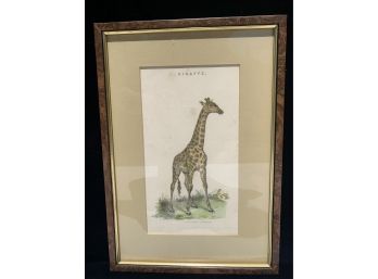 Framed Print 'Giraffe' Print