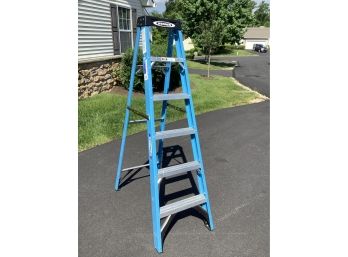 Werner Six Foot Step Ladder With Non Conductive Fiberglass Side Rails