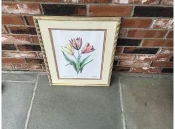 Framed 17 X 21 Tulip Picture