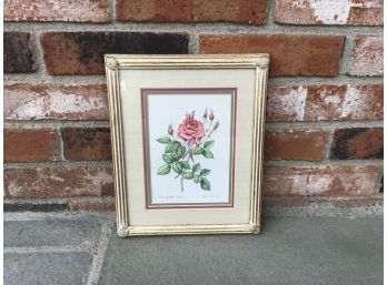 Framed Rose Picture