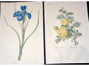 2 Vintage Book Plates P.J. Redate Floral Prints