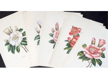 Lot 3 Of 3 A.W Holliday Floral Prints