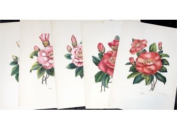 Lot 1 Of 3 A.w Holliday Floral Prints