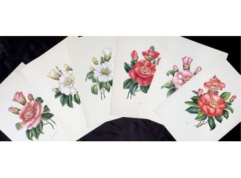 Lot 2 Of 3 A.W Holliday Floral Prints