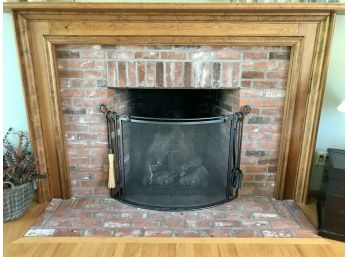 RESTORATION HARDWARE FIREPLACE SCREEN