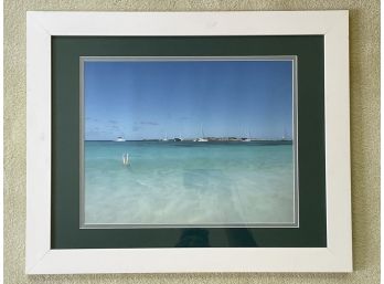 Professionally Matted And Framed Tropical Photograph