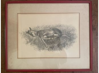 Framed Napping Fowl Baby Horse Stencil Like Print