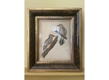 Red Crowned Bird Print In Burl Wood Frame