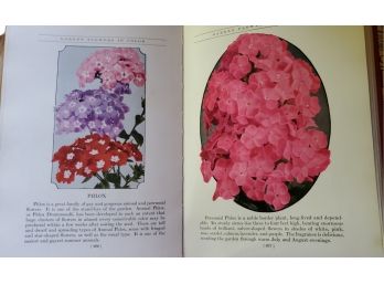 1934 Book With Beautiful Colors And Great Interest- Garden Flowers In Color. Written By G.A. Stevens In 1933