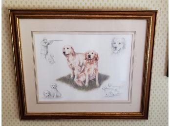 Golden Retriever Framed Print By Nigel Hemming