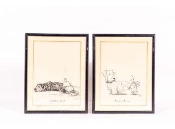 Pair Of Vintage Zito Dog Cartoon Illustrations