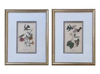 Pair Of Vintage JJ Audubon Bird Litho Prints (Pair 1)