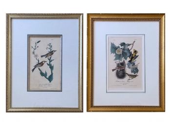 Pair Of Vintage JJ Audubon Bird Litho Prints (Pair 2)