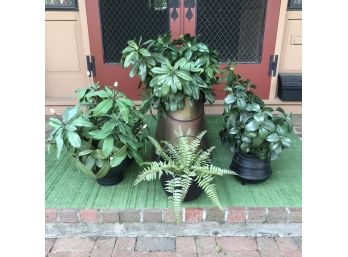 Assorted Containers/Plant Holders