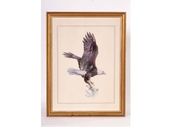 Hugh Hirtle Bald Eagle Print