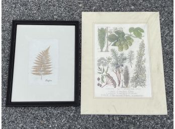 Botanical Prints