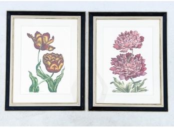 A Pair Of Hand Colored Botanical Prints